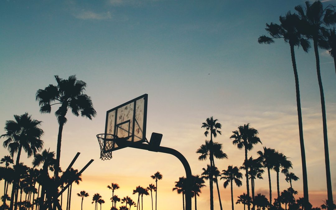 Best Sports To Bet On