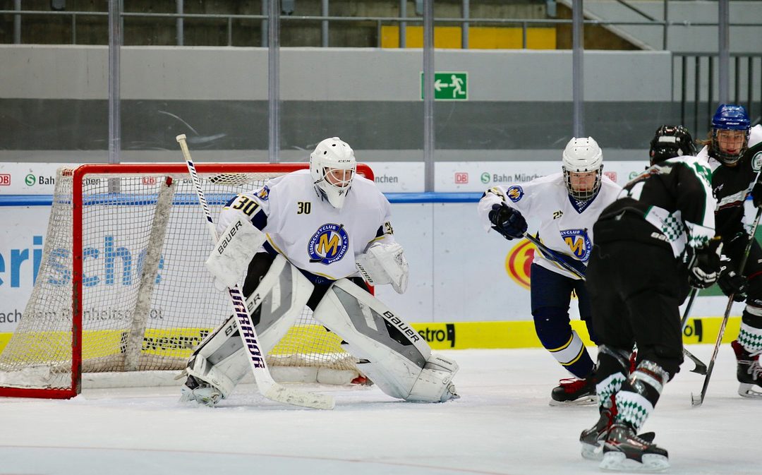 Tips for betting on Ice Hockey